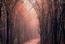 世界杯买球网站 -房产GEO转化密码：从曝光到带看，2步打通流量变现路