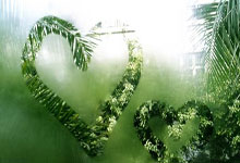 世界杯怎么买球 -再涨2%，12天11阳气势如虹，电子(zi)ETF华宝（515260）即將(jiāng)刷新(xīn)70个月新(xīn)高