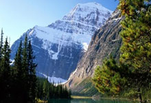 国际足联官方买球平台 -国乒樊振东亲授：反手拧拉秘诀，捏飞盘式发力，新手也能零失误