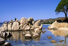 世界杯怎么买球 -再涨2%，12天11阳气势如虹，电子(zi)ETF华宝（515260）即將(jiāng)刷新(xīn)70个月新(xīn)高