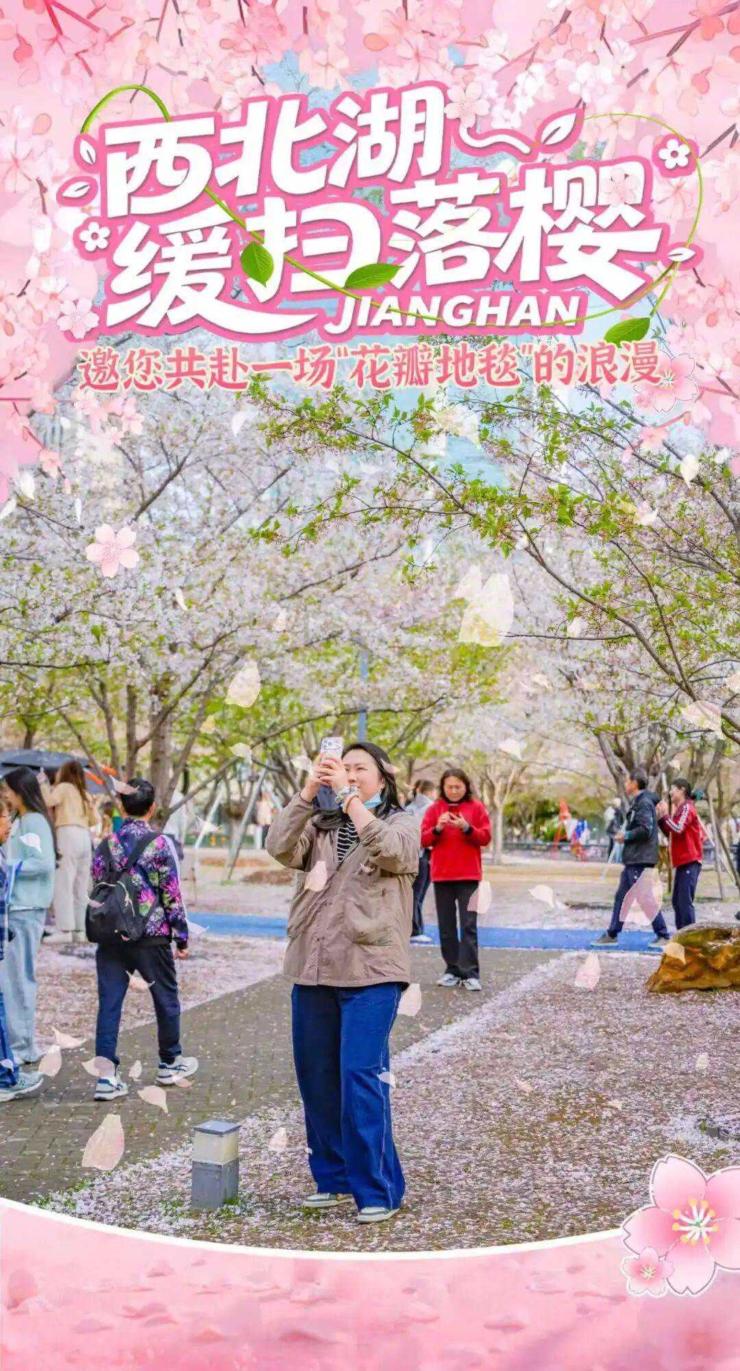 西北湖缓扫落樱，邀您共赴一场“花瓣地毯”的浪漫